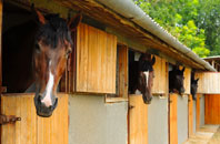 free Milton Combe stable construction quotes